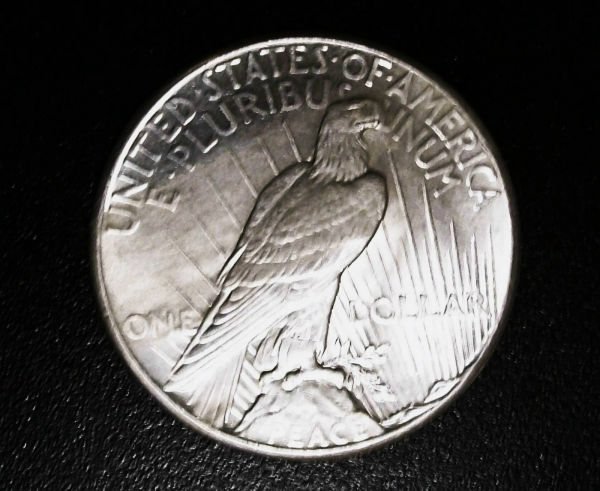 1928-P-Peace-Dollar,-Grade?-Help-Much-Appreciated