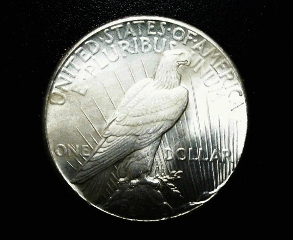 1928-P-Peace-Dollar,-Grade?-Help-Much-Appreciated