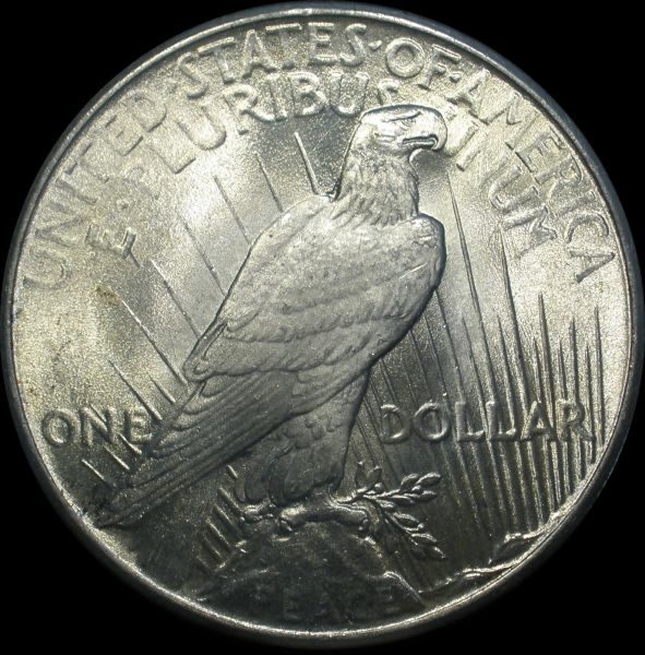 1925-Peace-Dollar---Gem-Bu?-Grading-Help-Please