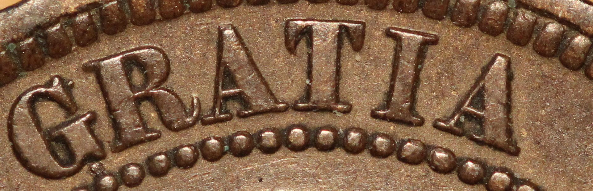 1876-Large-Cent-Finally-Got-One.
