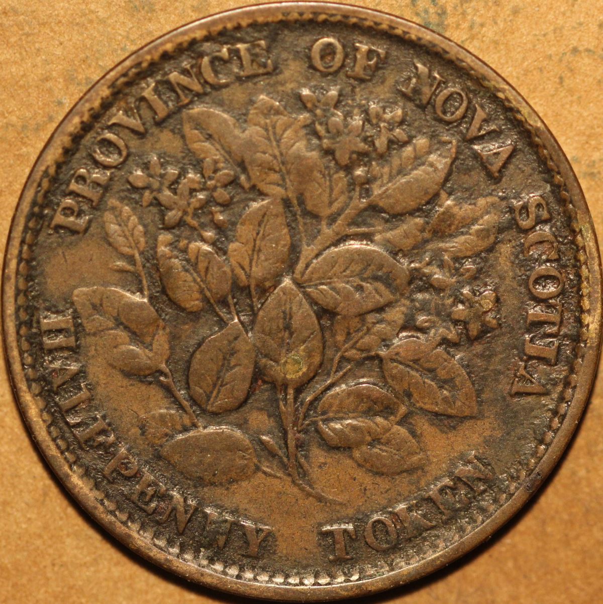 2-1856-Nova-Scotia--Half-Penny-Tokens-For-Grade-And-Comments