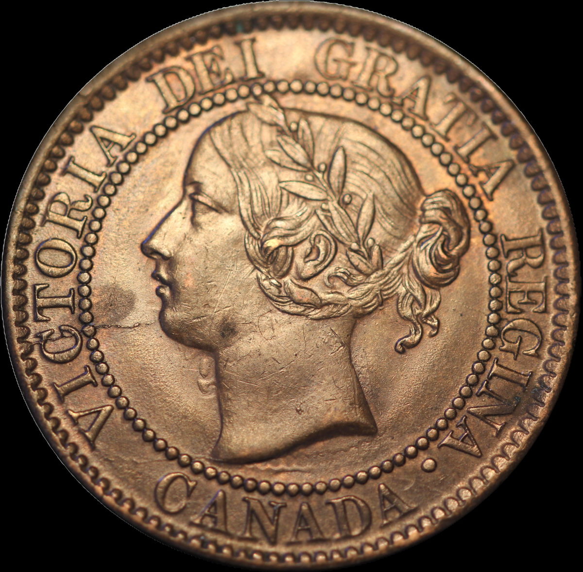 Help-Grade-This-1859-Pc-244-With-Die-Clash-9-Under-Chin