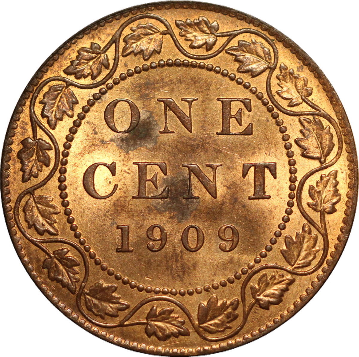 Please-Help-Grade-This-1909-Large-Cent