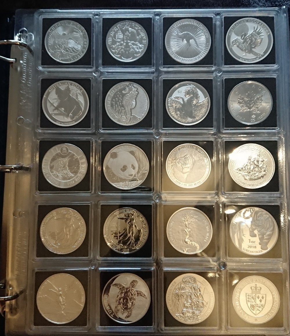 Which-Folders-To-Use-For-Various-World-Bullion?