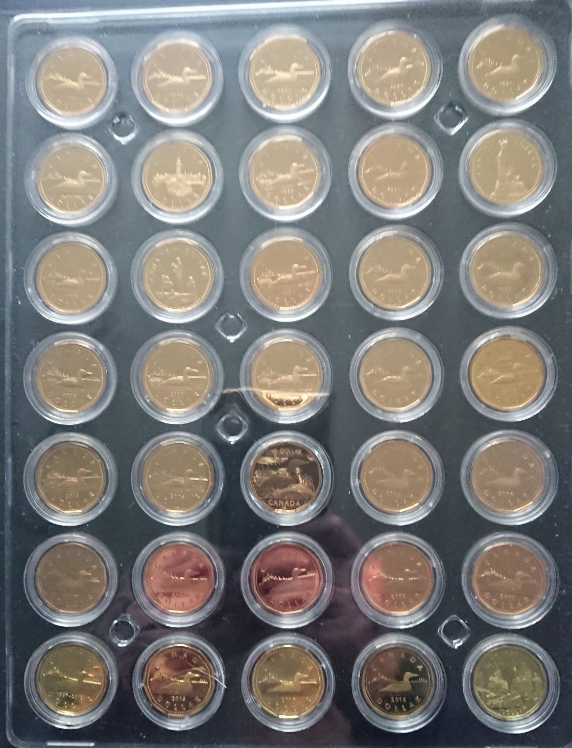 Storing-Coins-Or-What-Do-You-Do-With-Your-Collection?
