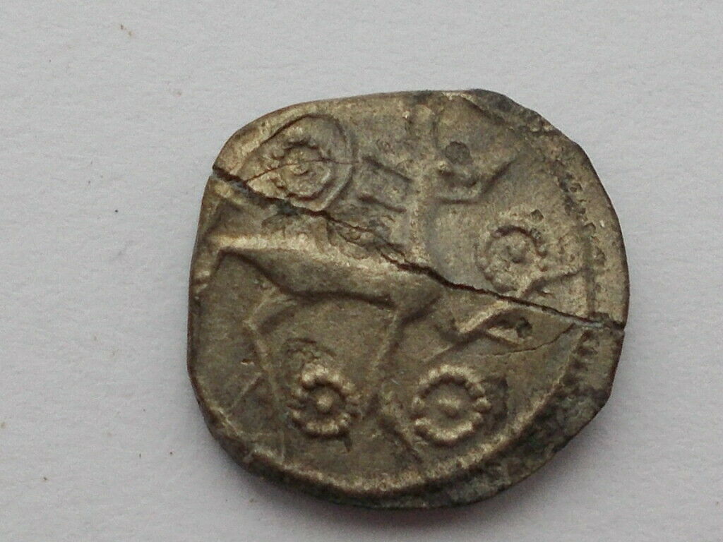 My-First-Animal-On-A-Coin.