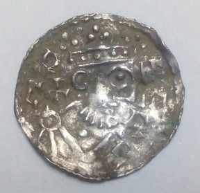 Need-A-Help-To-Identify-Wonderful-Medieval-Anglo-Saxon?-Species