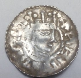 Need-A-Help-To-Identify-Wonderful-Medieval-Anglo-Saxon?-Species