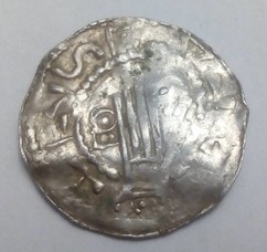 Need-A-Help-To-Identify-Wonderful-Medieval-Anglo-Saxon?-Species