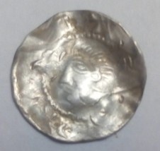 Need-A-Help-To-Identify-Wonderful-Medieval-Anglo-Saxon?-Species