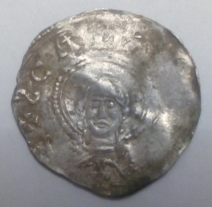 Need-A-Help-To-Identify-Wonderful-Medieval-Anglo-Saxon?-Species