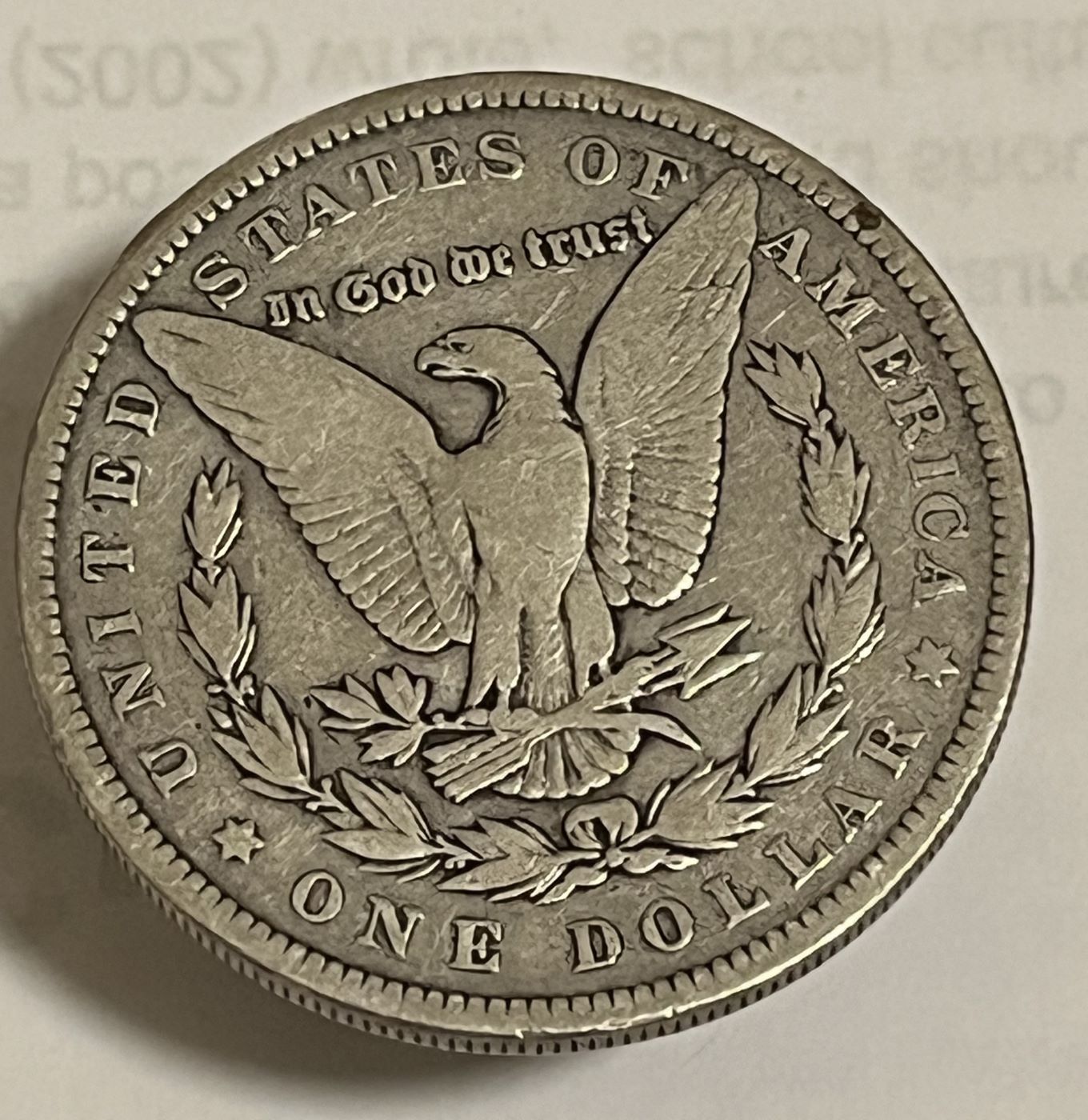 Questions-About-Circulated-Morgans
