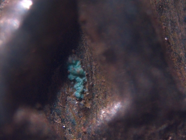 Anceint-Coin-Microscopy