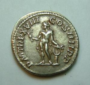 NGC-Graded-Coins