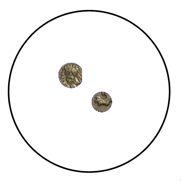 Guess-This-#6
