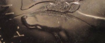 2006-P-From-Mint-Roll---2-Deep-Scratches-Before-Strike?