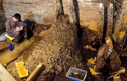 10-Tonnes-Ancient-Copper-Coins-Found