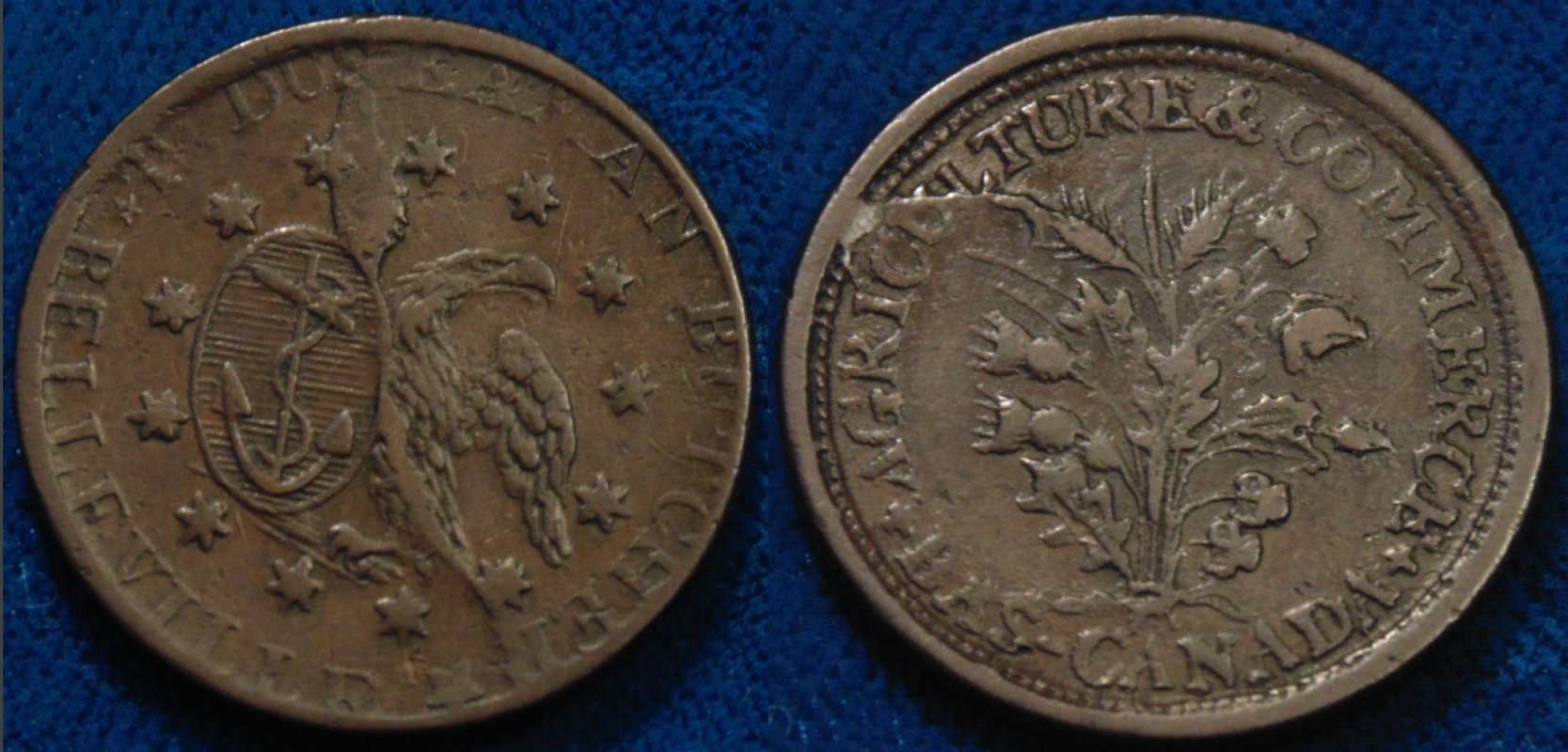 Anyone-Else-Get-Coins-For-Chistmas?