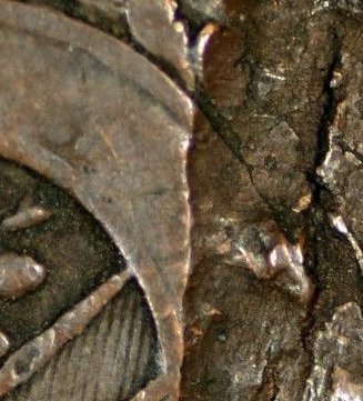 1844-Monster-Delam-Or-Monster-PMD?-Or-Both?