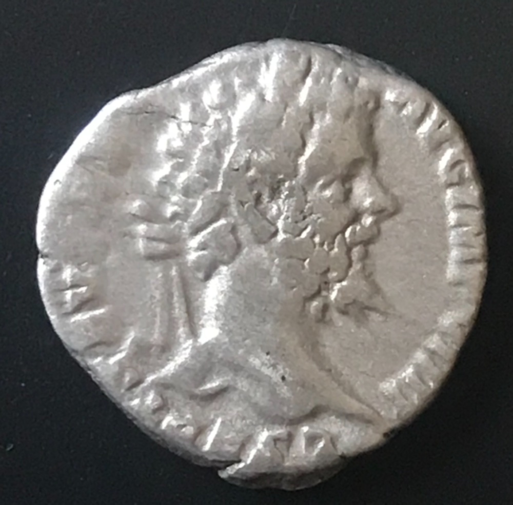 Can't-Identify-Roman-Coin-Elephant-On-Back