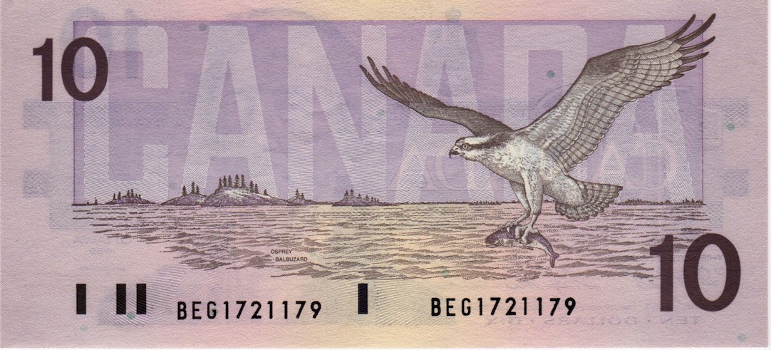 Post-Your-Avian-Notes!