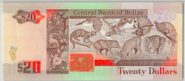 Monkeys-And-Other-Primates-On-Banknotes
