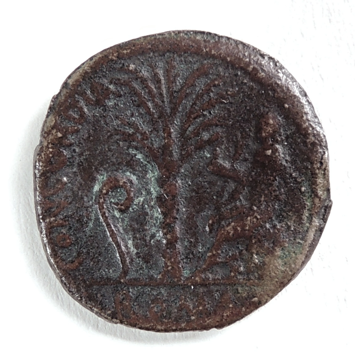 ID-Help---Roman-Republic-Or-Fake?