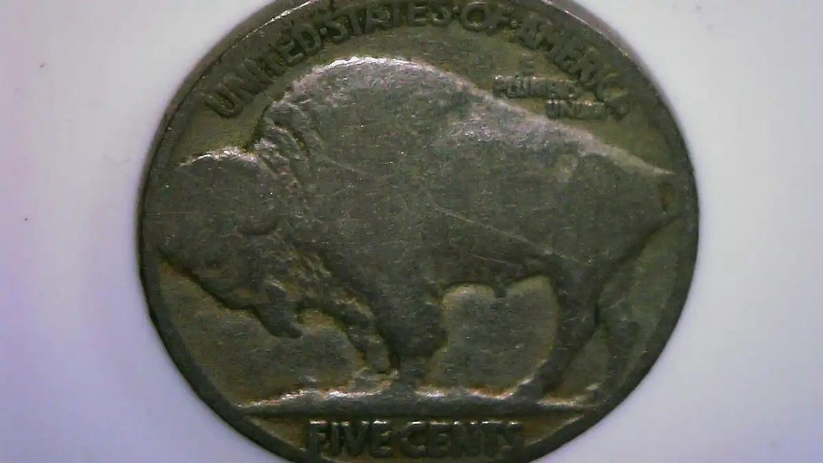 19xx-5c-DDO-FS-101-No-Date