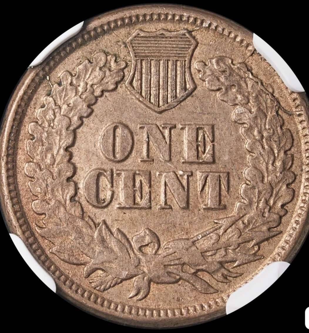 1863-IHC-New-Variety-Found-?