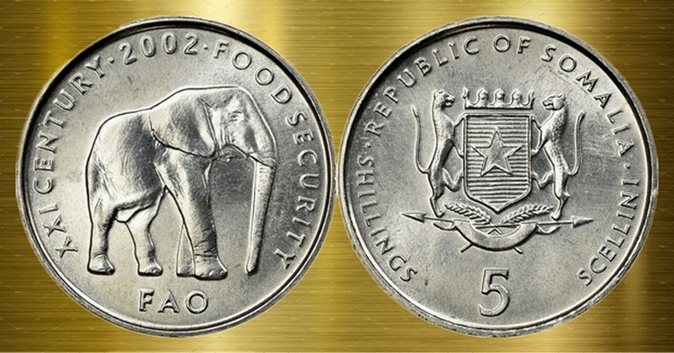 Around-The-World-With-Coins---A-Coin-Geography-Game