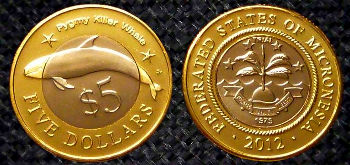 Around-The-World-With-Coins---A-Coin-Geography-Game