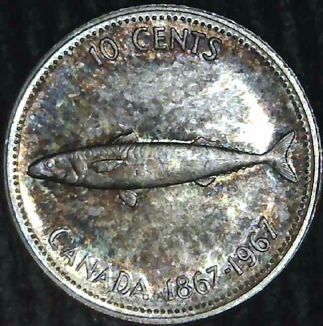 Around-The-World-With-Coins---A-Coin-Geography-Game