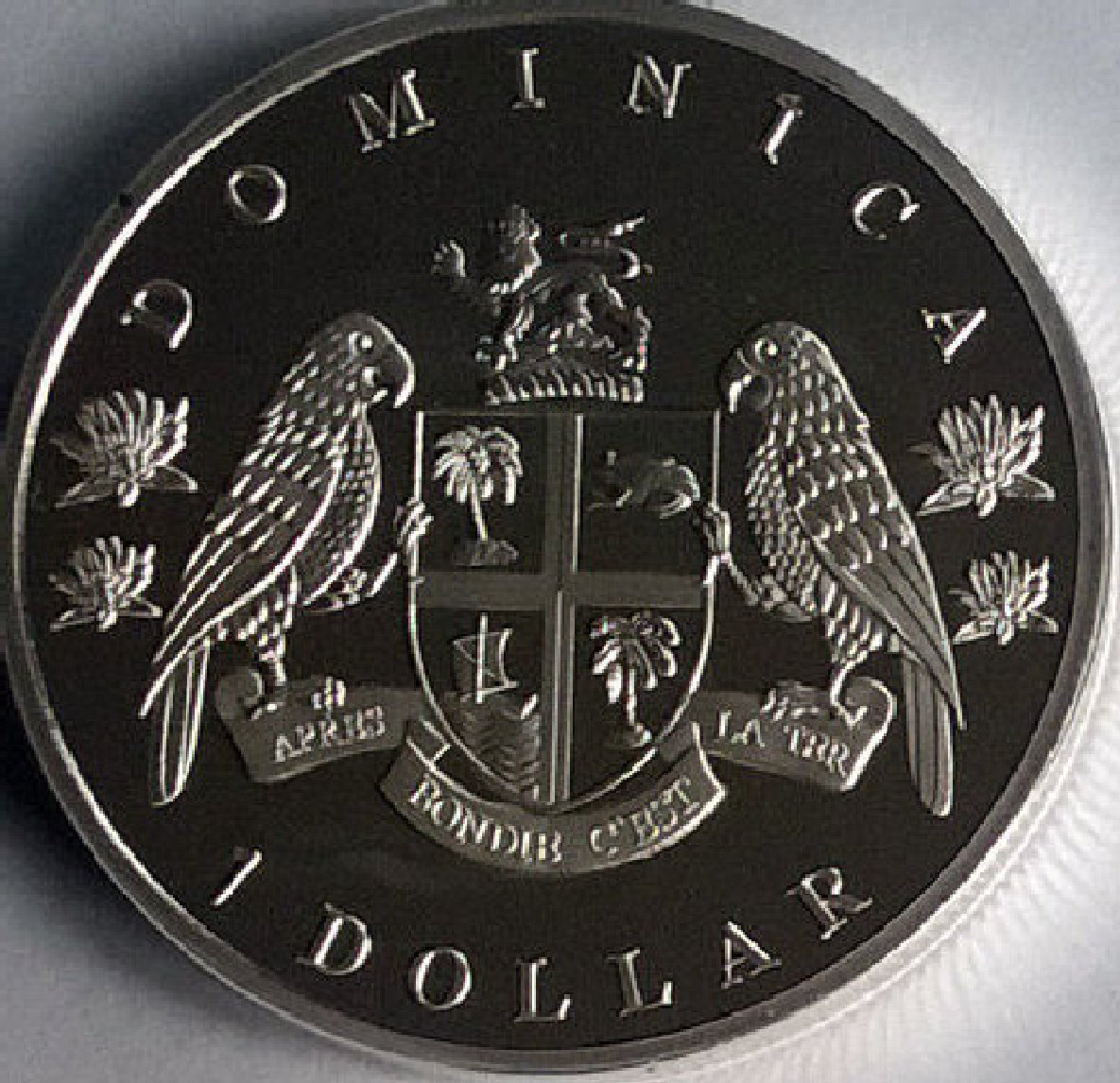 Around-The-World-With-Coins---A-Coin-Geography-Game