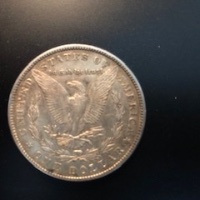 Two-Morgan's-For-Grading.