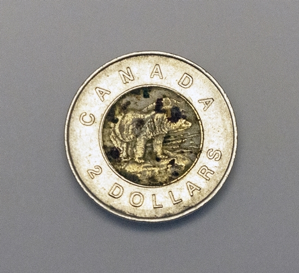 Canadian-1996-2-Dollar-Coin-Error-?