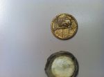 Treasure-In-Backyard