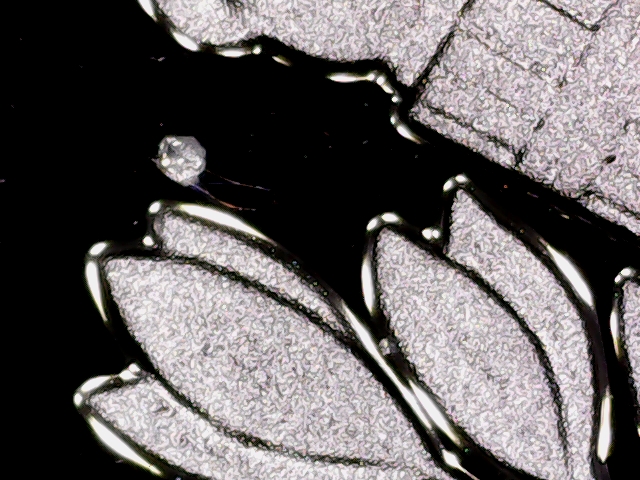 Coin-Microscope