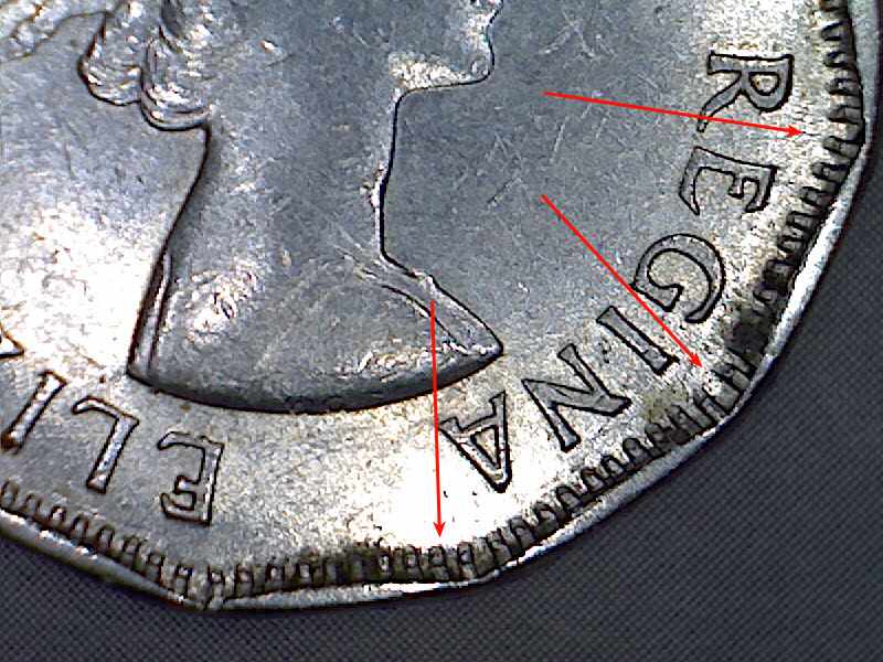 What-Would-Cause-Long-Denticles...?