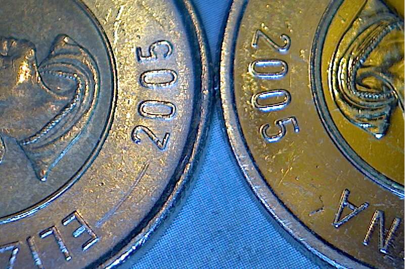Golden-Coloured-2005-Toonie...?