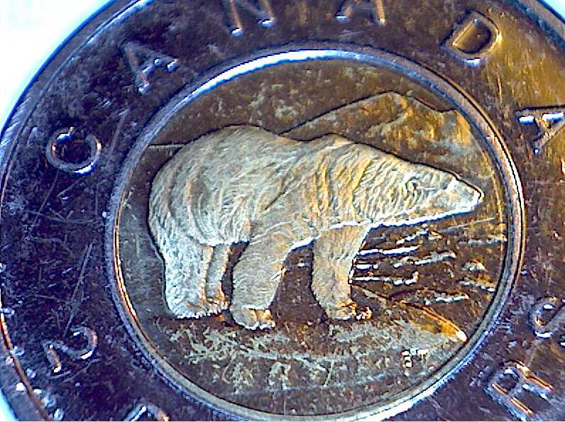 Golden-Coloured-2005-Toonie...?