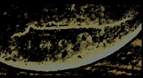 17?-Large-Cent-Error-?:-Grade-Request