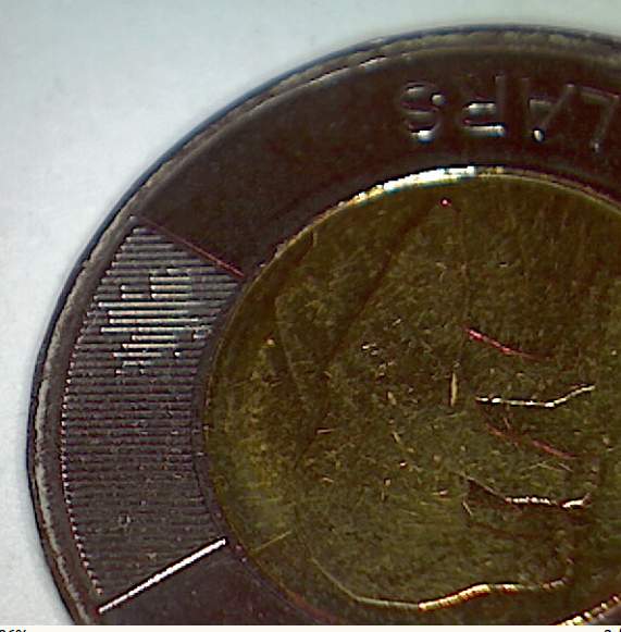 How-Many-Maple-Leafs-On-The-2012-Tonnie..?