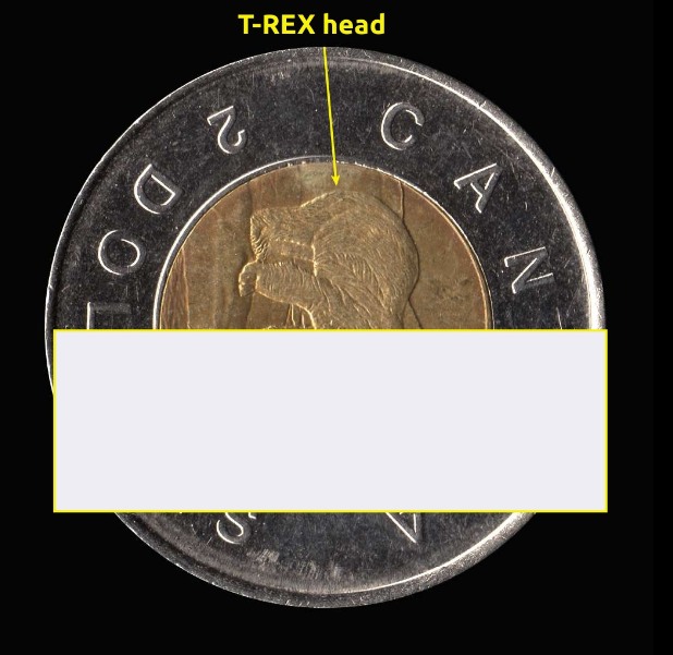 How-Many-Animals-On-A-Toonie...?