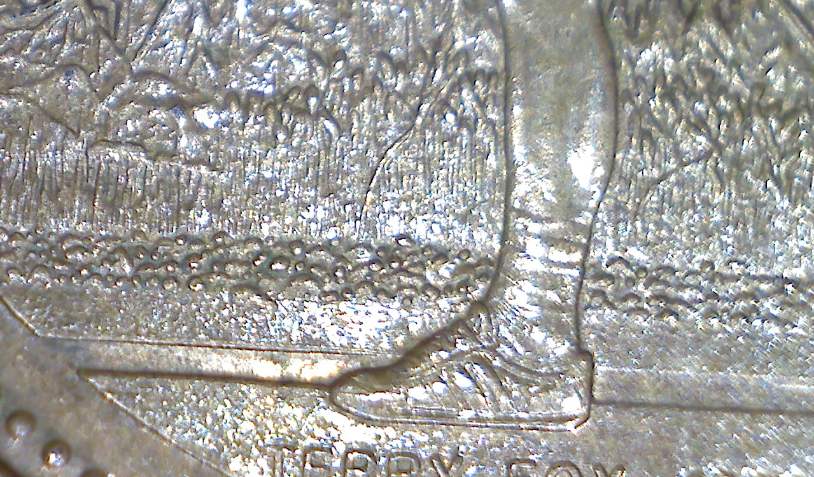 Terry-Fox-Loonie---Where-Are-The-Errors...?