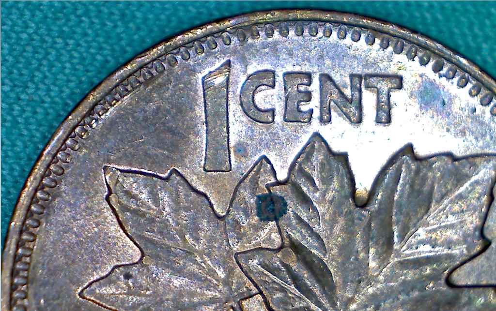 1978-Penny---Denticles-Between-Denticles...?