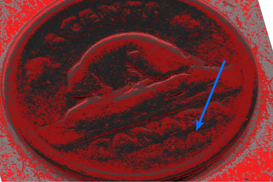 Nickel---Anyone-Ever-Seen-Anything-Like-This?