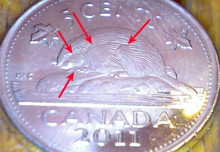 Over-Polished-2011-Nickel...?