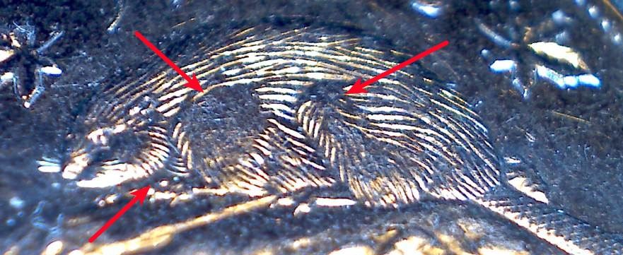 Over-Polished-2011-Nickel...?