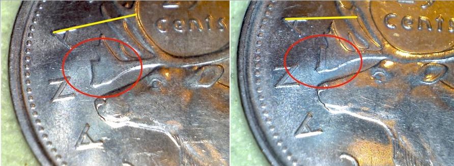 2009-Quarter---Different-Antlers...?