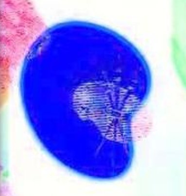 What-Is-This-Banknote-Please